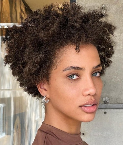 Short Curly Natural Hair Short Cut for Natural Hair