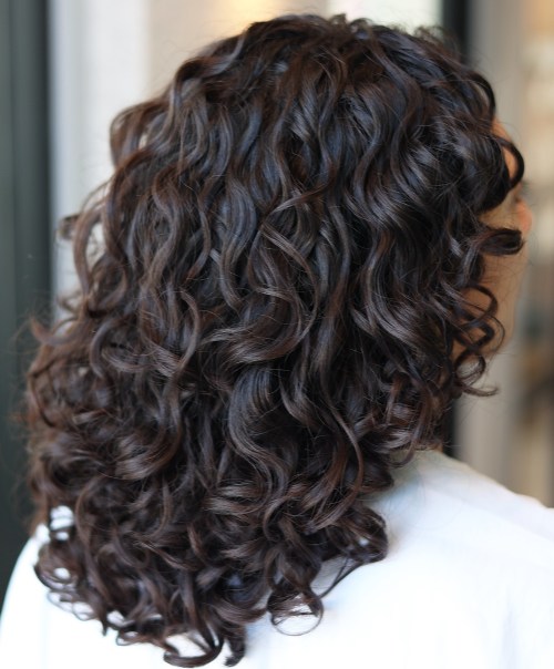 Medium Brown U Cut with Defined S Curls