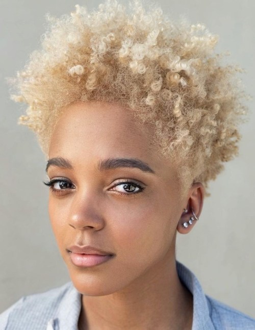 Platinium Blonde Tapered Coils Short Cut for Coily Hair