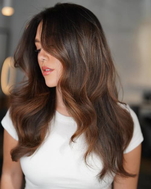 Matte and Shiny Chestnut Brown